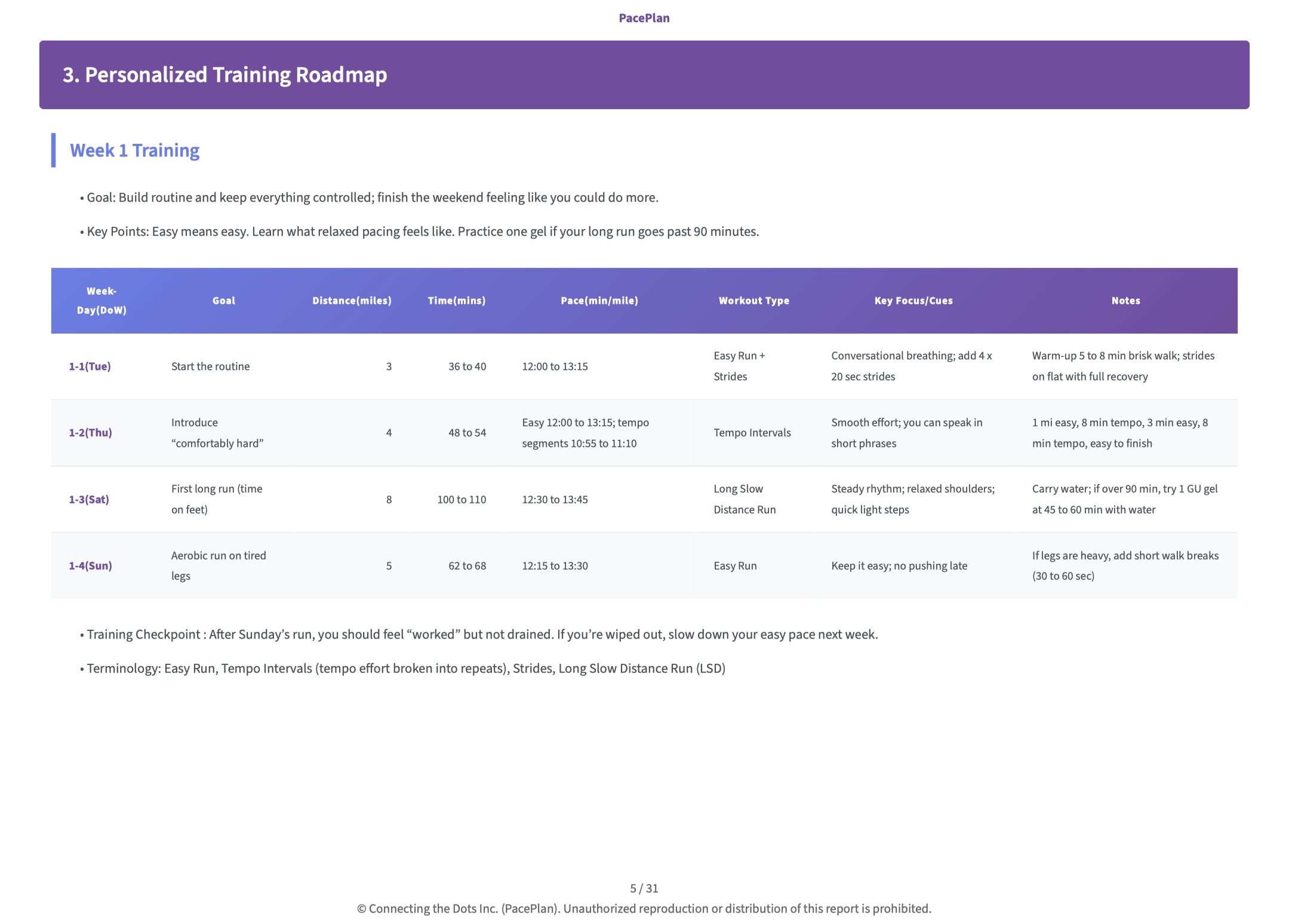 First marathon report sample