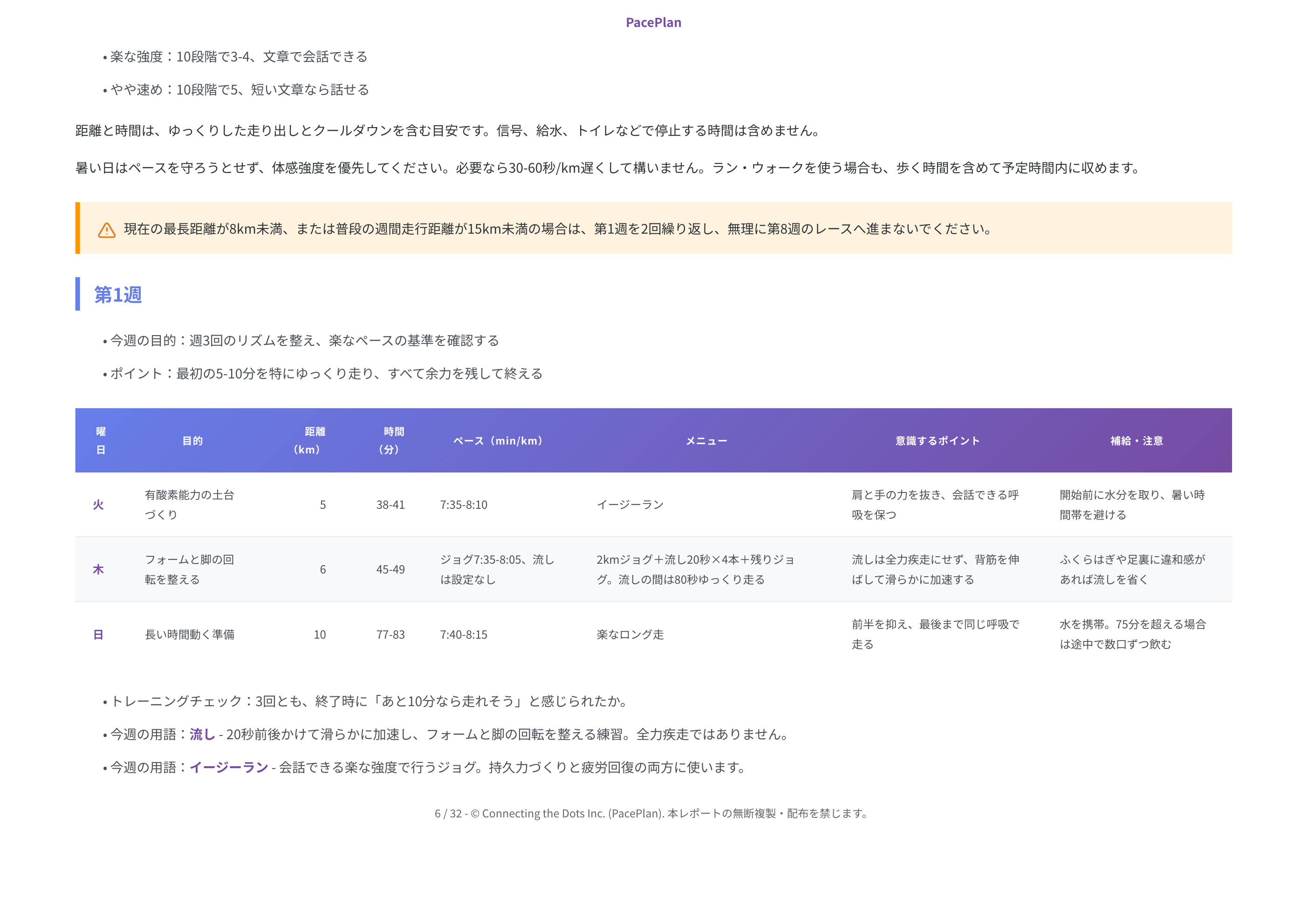 初マラソン向けレポート見本